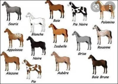 La robe chocolat existe.