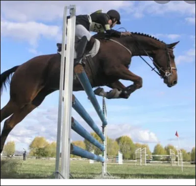 L'équitation est un sport.