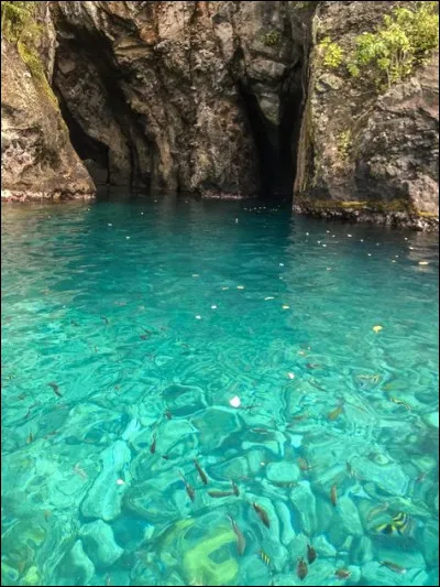 Quel est l'autre nom de l'Album Blanc des Beatles ?