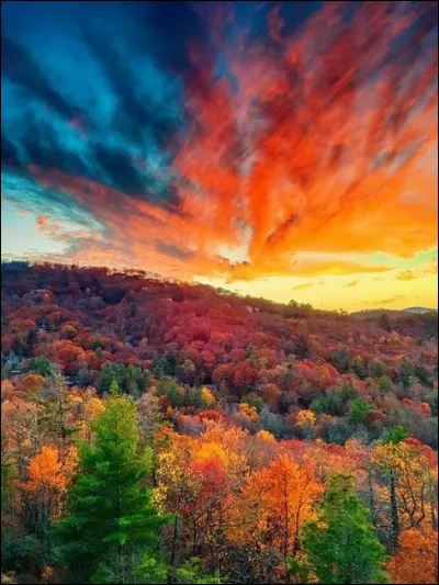 __ enfants sont très fatigués !