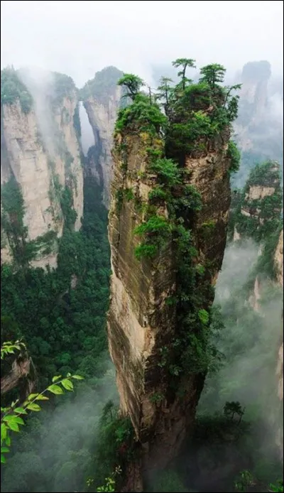 La femelle de cet animal-ci est la __.