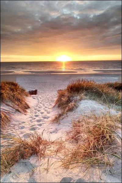 Dans quel département se trouve la ville de Ciel ?