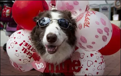 Quel est l'animal préféré de Valentina ?