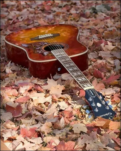 Mon quotidien c'est la misère et la guerre, deux étrangers au bout du monde si différents :