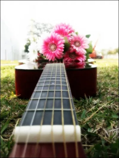 How many times can a mountain exist before it is washed to the sea. How many times can some people exist before they 're allowed to be free ? :