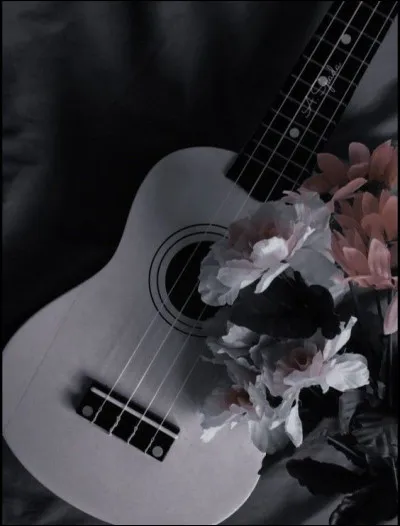 Quand le vétérinaire d'un seul coup l'acheva, j'ai vu pleurer mon père pour la première fois :