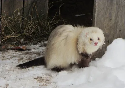 De quoi as-tu peur ?