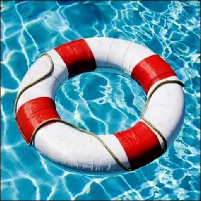 Quelle race de chien de type molosso&iuml;de poss&egrave;de des pattes palm&eacute;es, une corpulence et une docilit&eacute; qui en font l�animal id&eacute;al pour les sauvetages en mer ?