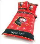 Quelle est la couleur du maillot  l'extrieur ?