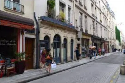 L'île Saint-Louis se trouve dans le ... arrondissement.