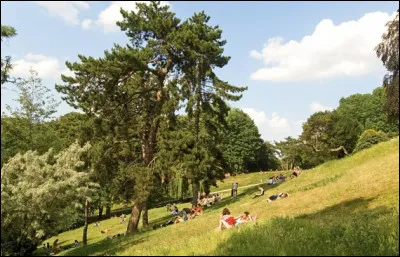 Le parc des buttes Chaumont se trouve dans le ... arrondissement.
