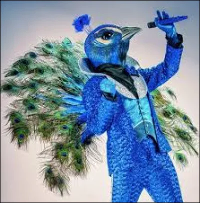 Dans quelle saison y avait-il le costume du paon ?