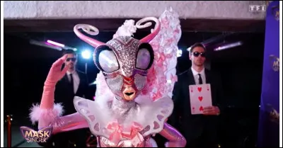 Dans quelle saison y avait-il le costume du papillon ?