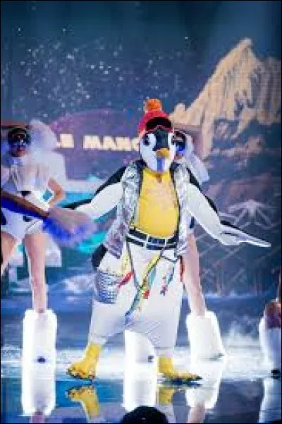 Dans quelle saison y avait-il le costume du manchot ?