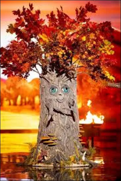Dans quelle saison y avait-il le costume de l'arbre ?