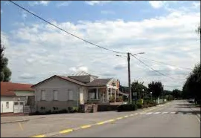 Petit tour dans le Grand-Est, à Florémont. Village de l'agglomération Spinalienne, il se situe dans le département ..