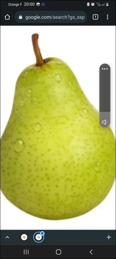 Vrai ou faux. Crash aime les poires.