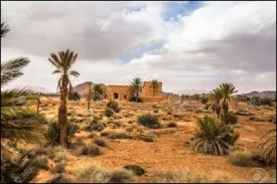 L'Algérie est le deuxième pays le plus grand d'Afrique.