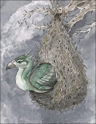 O&ugrave; se niche l�augurey ?