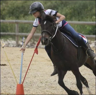 Quelle est cette discipline ?