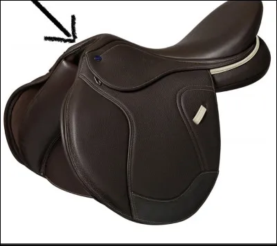 Comment sappelle cette partie de la selle ?