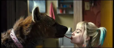 Qui sont les femmes que Batman a embrassées ?