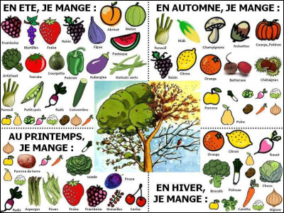 Comment se nomme l'étude de la culture des fruits à pépins ?