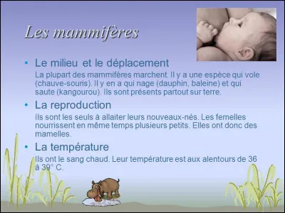 Parmi ces animaux marins, lequel est un poisson et non un mammifère ?