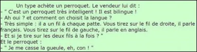 Quel oiseau comprend le plus de mots, et parle le mieux au monde ?