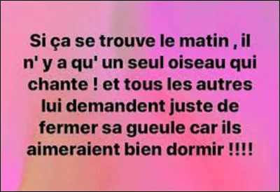 Quel oiseau chante le plus au monde ?