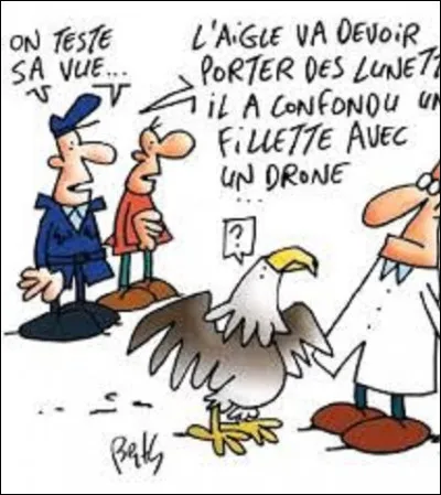 Quels rapaces, ont la meilleure vue du règne animal, pouvant distinguer un objet de 10 cm depuis 1 km de hauteur ?
