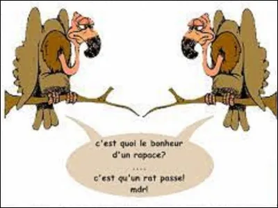 Quel rapace est réputé pour être le plus rapide du monde en piqué, avec une vitesse pouvant atteindre 390 km/h ?