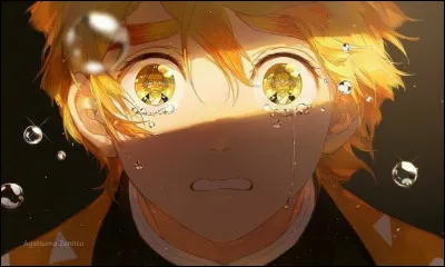 Quel est le nom de famille de Zen'itsu ?