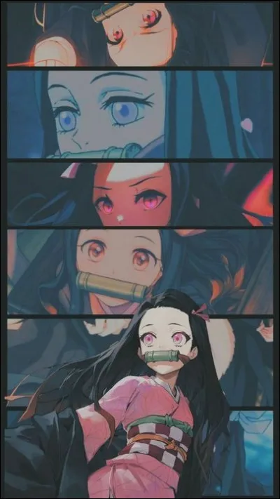 Pourquoi Nezuko est-elle dans une boite, le jour ?