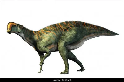 Quel est ce dinosaure ?