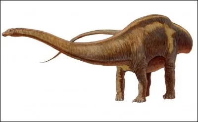 Quel est ce dinosaure ?