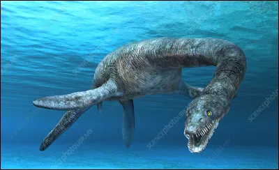 Quel est ce dinosaure ?