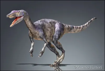 Quel est ce dinosaure ?