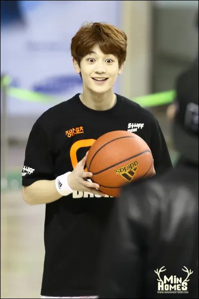 Quel sport a-t-il pratiqué ?