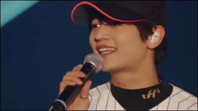 Avant d'intégrer ce groupe, avait-il déjà fait une carrière de chanteur ?