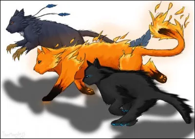 Quelles sont tes qualités ?