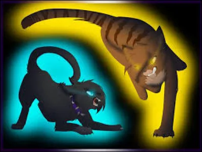 Un combat contre le clan de l'Ombre a été lancé, que fais-tu ?