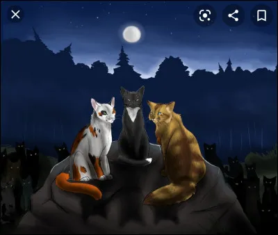 Étoile Lunaire, ta cheffe, te choisit en temps que lieutenant(e), comment réagis-tu ?