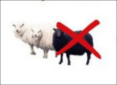 Parallèlement aux 1 et 2, on constate une recherche obsessionnelle "[...de quoi donc ?]" et une peur innée "[...de quel autre concept ?]"