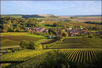 C'est le moins peuplé, avec 310 000 habitants, et aussi le moins étendu des trois :