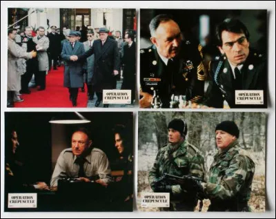 "Opération Crépuscule" est un film interprété par Harrison Ford.