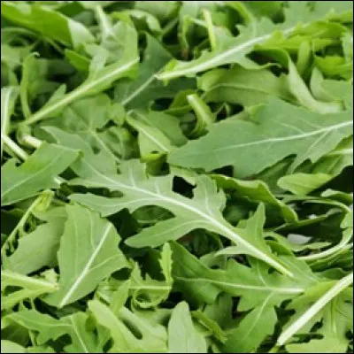 Quelle est cette salade au goût légèrement amer ?
