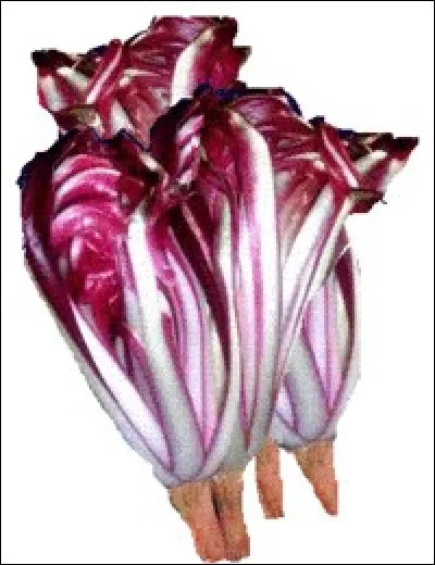 Quelle est donc cette salade rouge ?