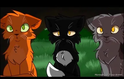 Qui sont les meilleurs amis de Nuage de Feu ?