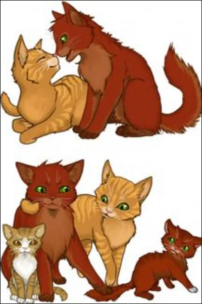 Qui est sa compagne ?